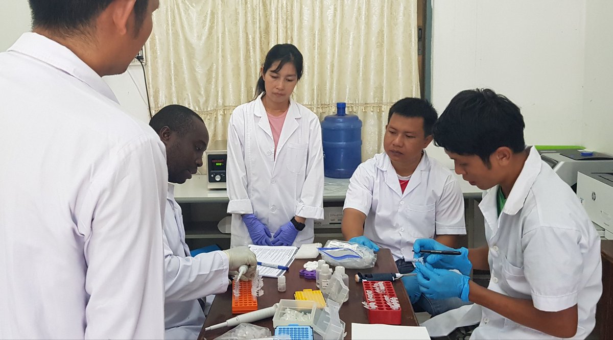 Wilmer Cuellar (@wjcuellar) on Twitter photo Asia II 1 (a known vector of SLCMV) and Asia II 6, are the main cryptic species of Bemisia tabaci found in #cassava in #LaoPDR. First results from the training using <a href="/nanopore/">Oxford Nanopore</a> and <a href="/GoogleColab/">Colaboratory</a> in Vientiane's Plant Protection Center.
<a href="/Analeiva013/">Ana Maria Leiva</a>
<a href="/KhonesavanhChi1/">Khonesavanh Chittarath</a>
@alejandr_a_gil Asia II 1 (a known vector of SLCMV) and Asia II 6, are the main cryptic species of Bemisia tabaci found in #cassava in #LaoPDR. First results from the training using <a href="/nanopore/">Oxford Nanopore</a> and <a href="/GoogleColab/">Colaboratory</a> in Vientiane's Plant Protection Center.
<a href="/Analeiva013/">Ana Maria Leiva</a>
<a href="/KhonesavanhChi1/">Khonesavanh Chittarath</a>
@alejandr_a_gil