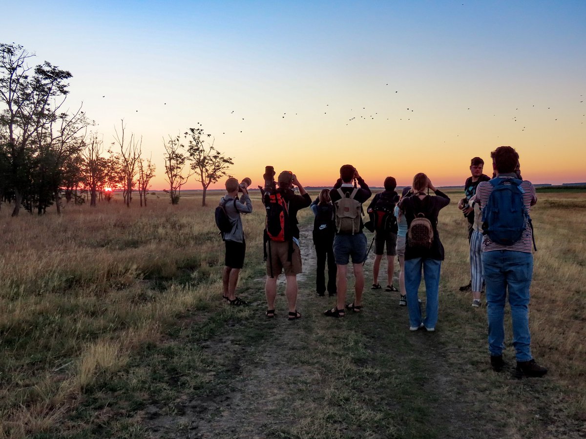 Riccardo Alba tweet media