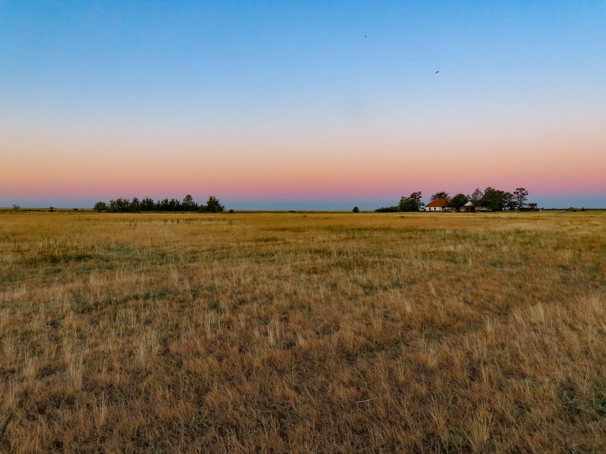 Riccardo Alba tweet media