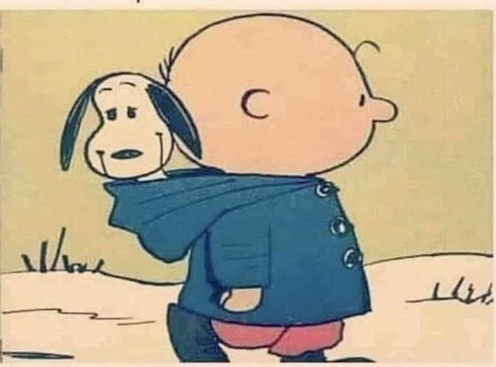 Laimprudente__'s tweet photo. La vida siempre es mejor con un perrito 😍💞 https://t.co/LaPxIyC1lz