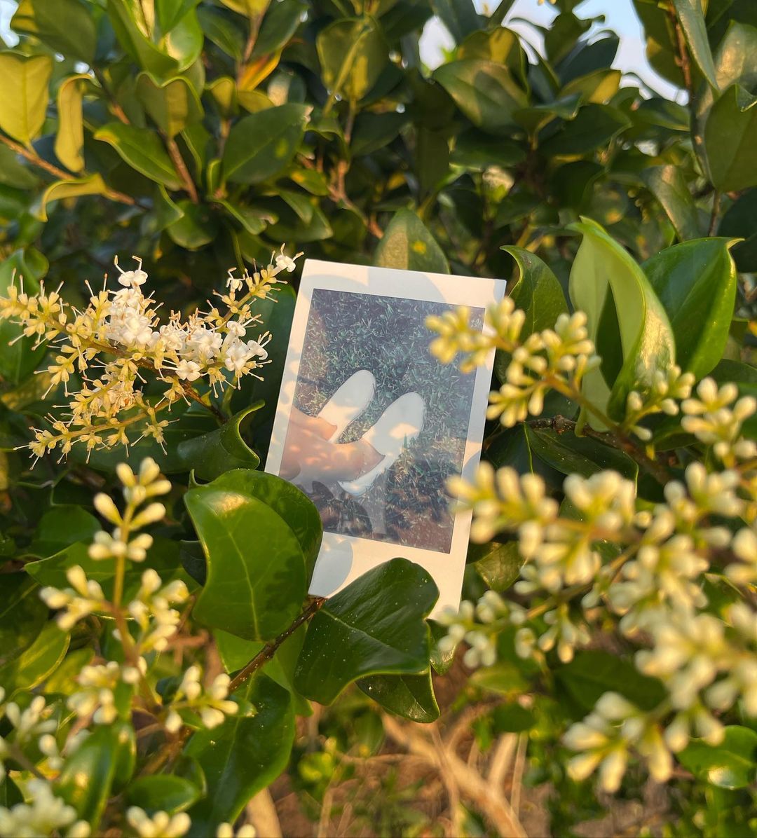 CCILUUSA's tweet photo. Don’t worry, be frappe. Explore all the places in your bucket list comfortably with our Bright white Cody that goes with every summer outfit. 🌸

#xpresolecody #xpresole #ccilu #cciluusa #summer #coffeeaddict #coffeeshoes #coffeelover https://t.co/rcIX6z69CJ