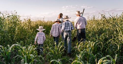Last chance to apply for the Australia-China Agricultural Youth Program-Paddock to Port Tour! 4 x days touring Southwest Victoria bringing students from across Australia to get up close and personal to Australian agriculture! Apply here 👉 bit.ly/paddocktoport