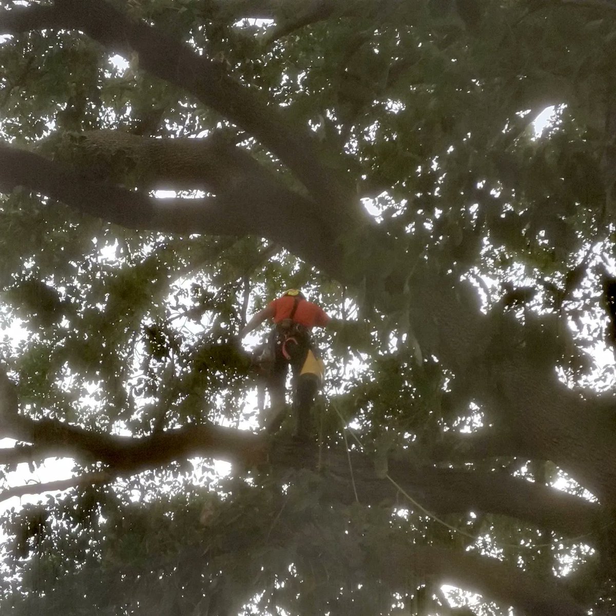 Ajuntament de Bordils tweet media