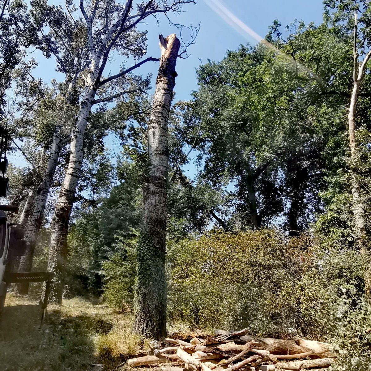 Ajuntament de Bordils tweet media