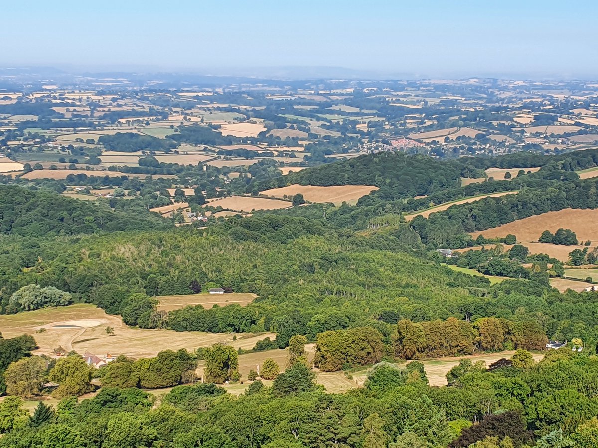 Littley coppice, a lovely <a href="/HerefordshireWT/">Herefordshire Wildlife Trust</a> oak
/hazel coppice Nature Reserve standing out in the view - crowning a hill top above secondary Ash woodland with extensive signs of Ash dieback