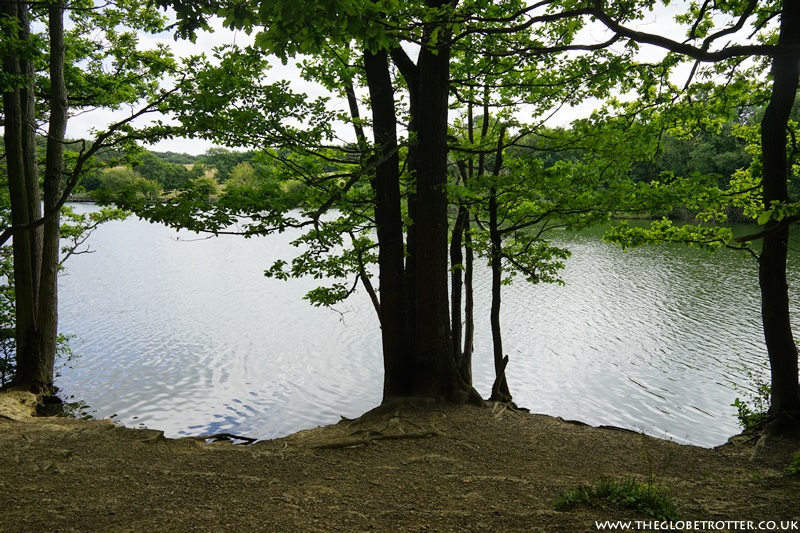 TheGl0beTrotter's tweet photo. Beautiful walk around #Linacre Reservoirs
https://t.co/qlZzHPF26q
#Chesterfield #NorthDerbyshire #SevernTrent #Derbyshire #dayout
@stwater @vpdd https://t.co/tLHD3K6njq