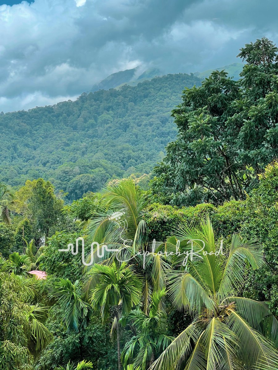 ExplorebyRoad's tweet photo. Today at #KukkeSubramanya staying at a recently opened property with wonderful views… #KumaraParvata on one side and #Kumaradhara river on the other…. #Travel #ExplorebyRoad https://t.co/7bswvaClrU