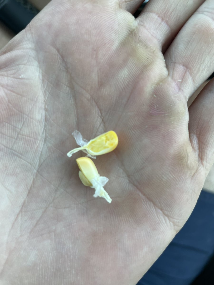 Perrier Adrien tweet media