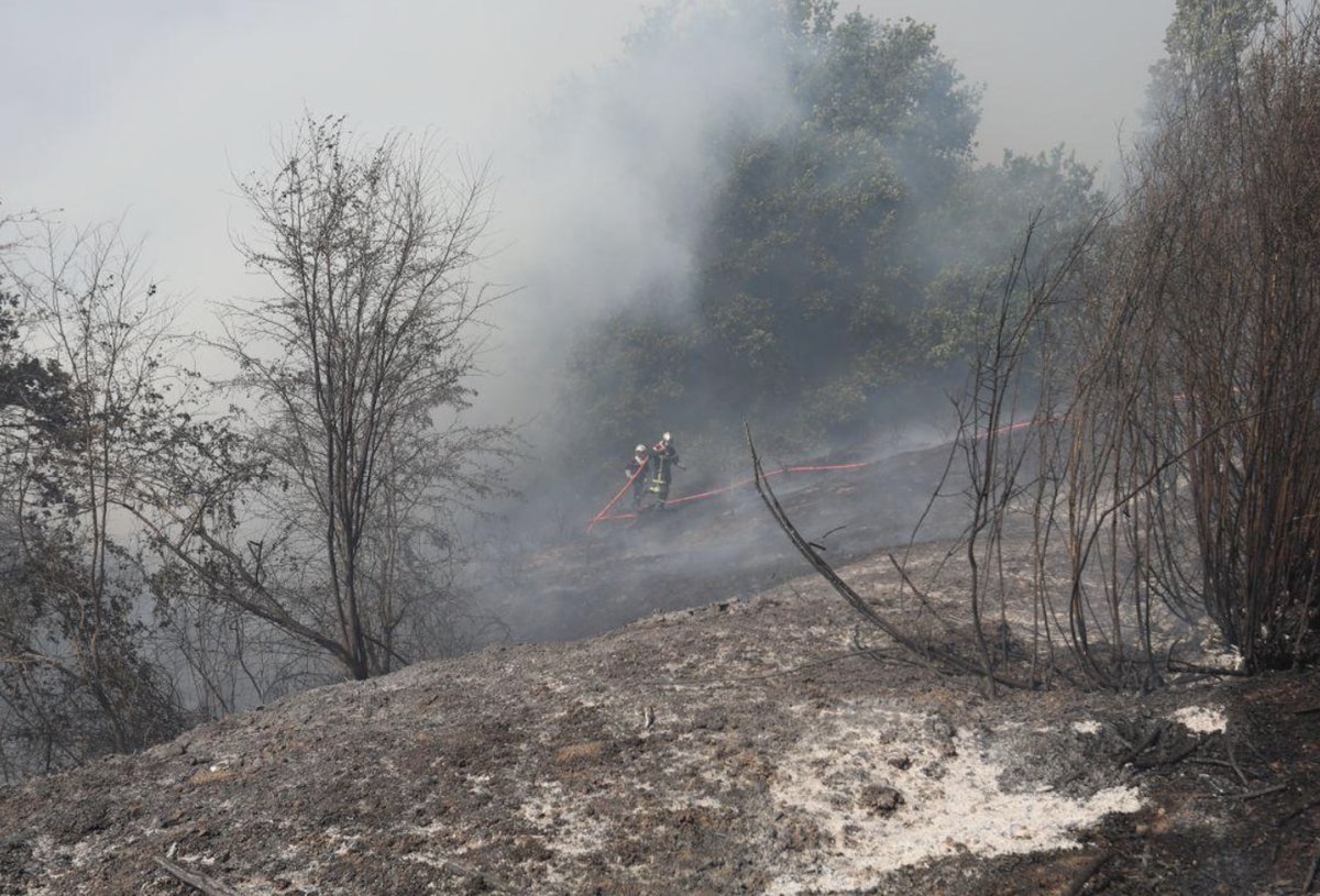 RAutrement's tweet photo. #rennes, #bazougeslapérouse : forêt de Villecartier : 35 hectares en fumée https://t.co/k7fyLrs8dD https://t.co/tmJwFrkOTj