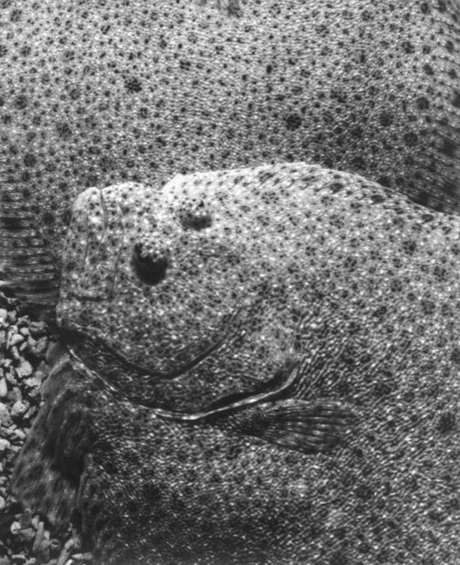 slashparis's tweet photo. Exposition sensible et touchante de #jochenlempert au @CentrePompidou qui fait du vivant un motif tout aussi esthétique qu'éthique et scientifique. #projectesd #bqberlin 
https://t.co/k45m9CJG3T https://t.co/YSp6lW2brj