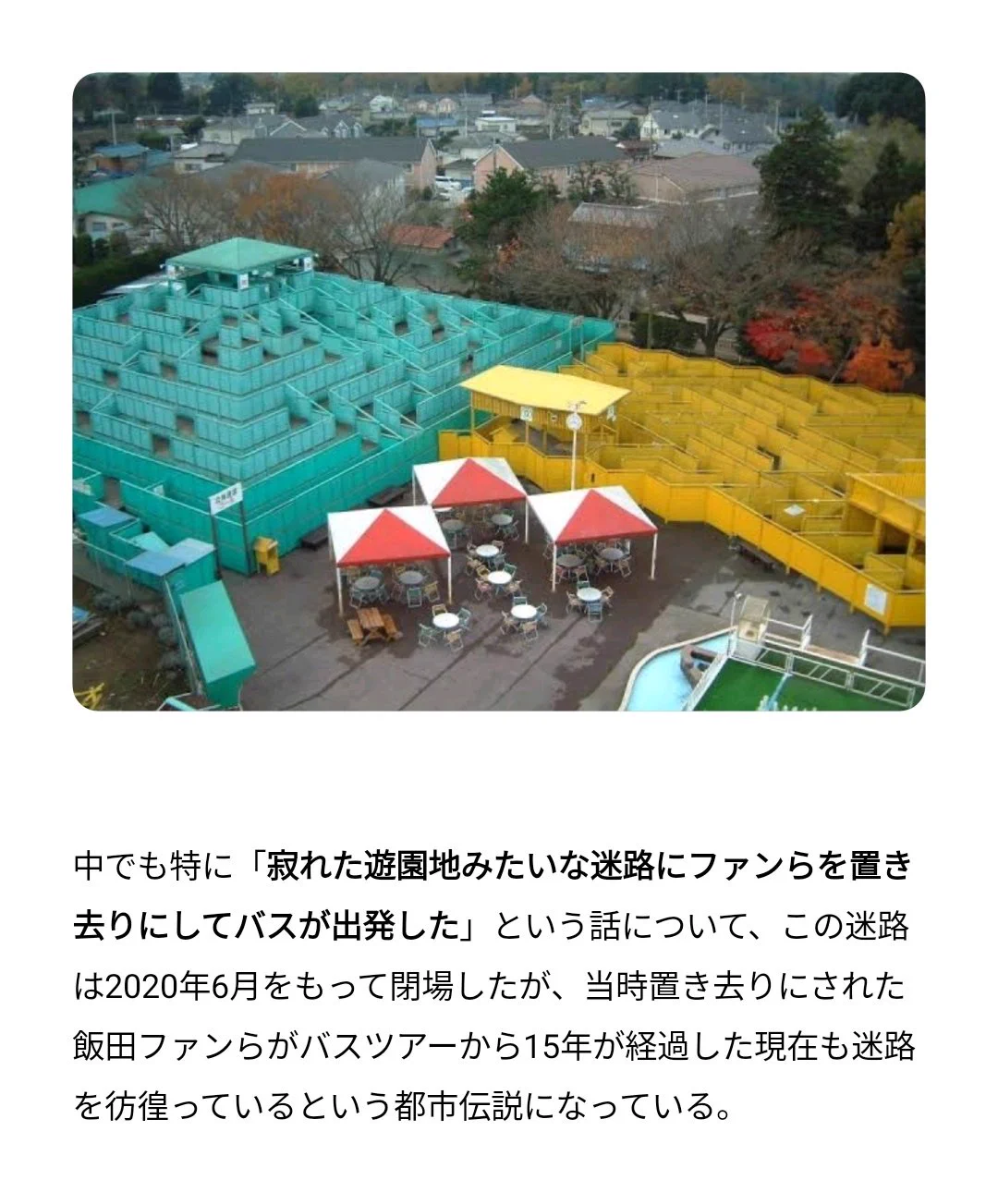 活動歴および当時の関連ビジュアル記録