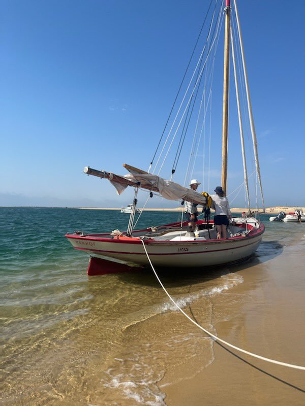 TVBA_fr's tweet photo. Escale au banc d’arguin… le bonheur https://t.co/9YfXRRWAfa