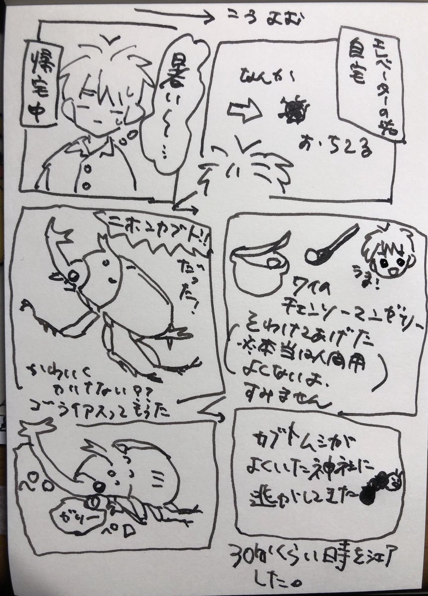 ほんとは良くないけどカブトムシお腹すいてたから大事にとっておいたチェンソーマンゼリーを分け合いっこした…キミも人間だ 