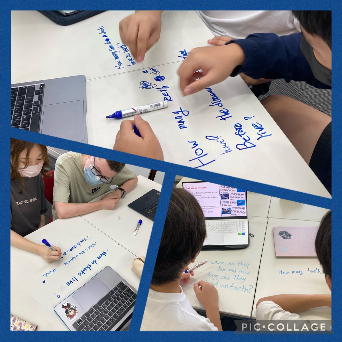 SabrinaKim6's tweet image. Our High school EAP class is starting the year off exploring different genres of writing. Today it was all about identifying language features in writing that Informs. #AISCEAL #AISCHighSchool #AISCLearner #WIDAKeyLanguageUses
