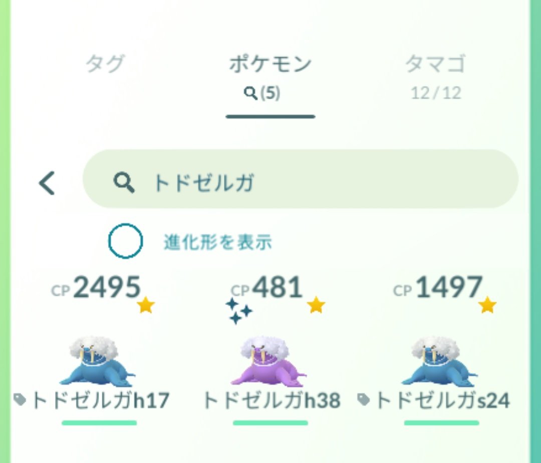 تويتر トドゼルガ البحث في تويتر