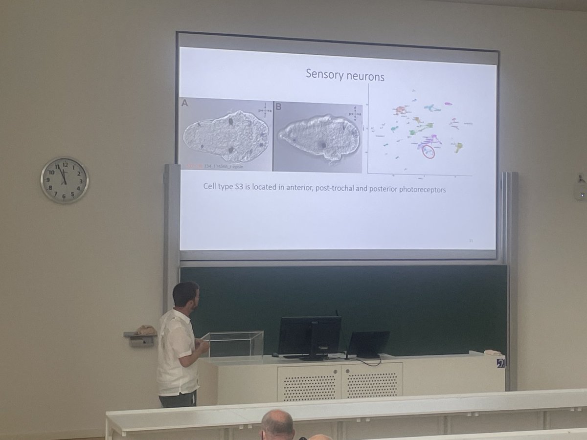 Felipe Aguilera @faguilgen.bsky.social (@faguilgen) on Twitter photo Impressive work done by @tim_wollesen on characterising cell types in chiton trocophore larvae. Beatiful cell clusters to identify cell-type specific markers for looking into neuronal cell types 🤩🤩 #icim5 <a href="/5Icim/">ICIM-5-Vienna-2022</a> Impressive work done by @tim_wollesen on characterising cell types in chiton trocophore larvae. Beatiful cell clusters to identify cell-type specific markers for looking into neuronal cell types 🤩🤩 #icim5 <a href="/5Icim/">ICIM-5-Vienna-2022</a>