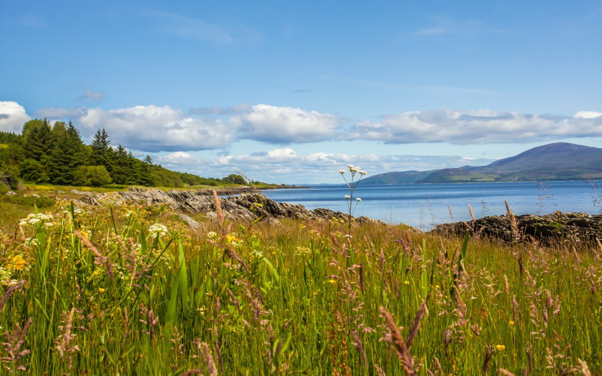 #OnThisDay in 2006, <a href="/TheKintyreWay/">The Kintyre Way</a> was officially opened at Tarbert Castle by <a href="/georgelyonuk/">George Lyon</a>. 🎉 Today marks 16 years of spectacular walks exploring this beautiful and remote region of Scotland. 🥾 <a href="/wildaboutargyll/">Wild About Argyll | Scotland’s Adventure Coast</a>