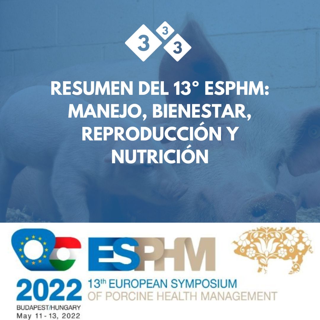 3tres3com's tweet photo. 📃👤La última entrega del resumen de Antonio Palomo sobre el ESPHM 

🔗 https://t.co/UqT15CZPW5
#ESPHM #porcino #cerdos https://t.co/4cJEpFndSZ
