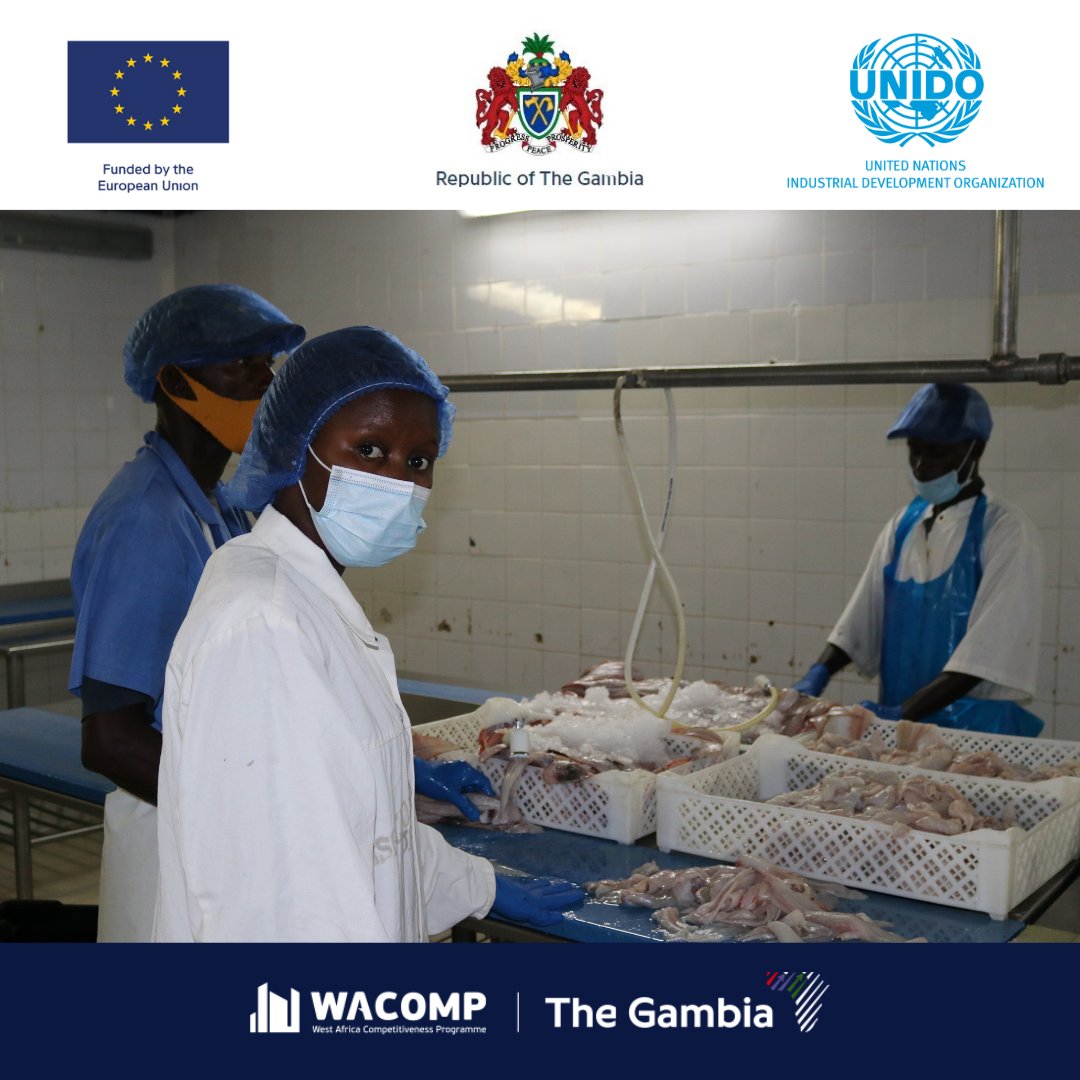 WACOMP_GM's tweet photo. Majority of staff strengthening The Gambia’s #quality_infrastructure at conformity assessment institutions are #young_people
On #International_Youth_Day, we celebrate👏#Marie_Jabang, a food inspector at @fsqathegambia– & many others who continue to drive positive change in🇬🇲🙂 https://t.co/d2UWHbKuEm