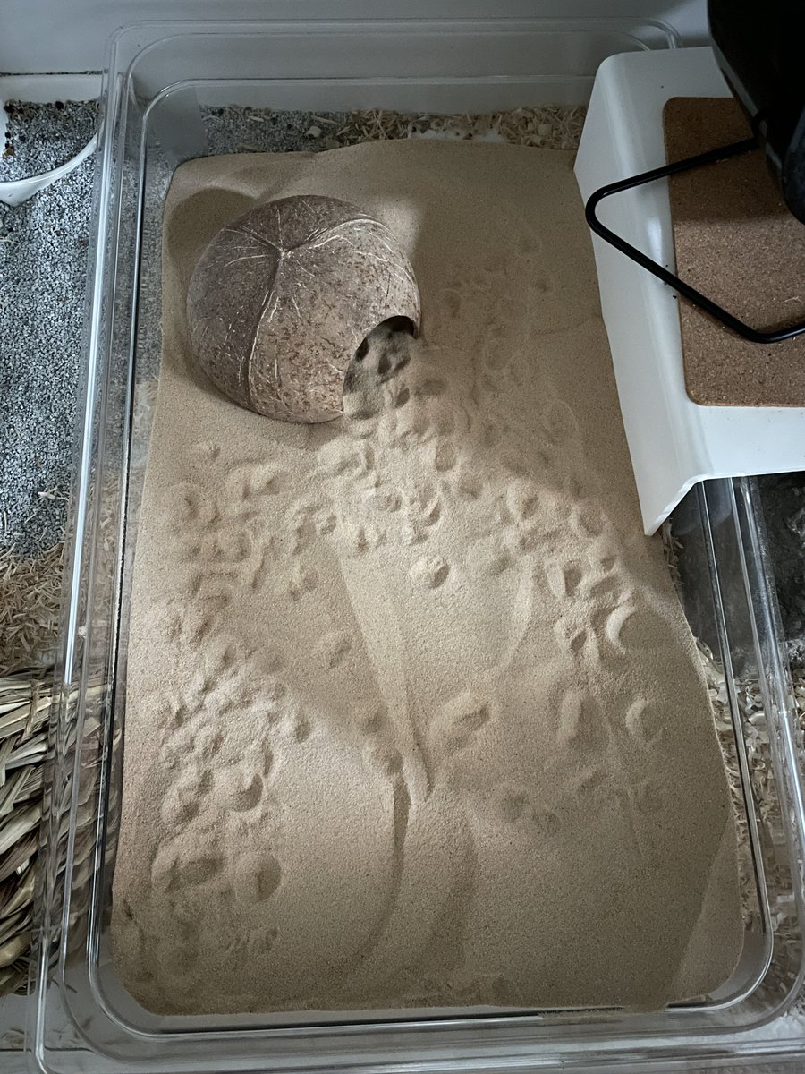 프핫핫핫핫 
새모래                                햄스터발자국