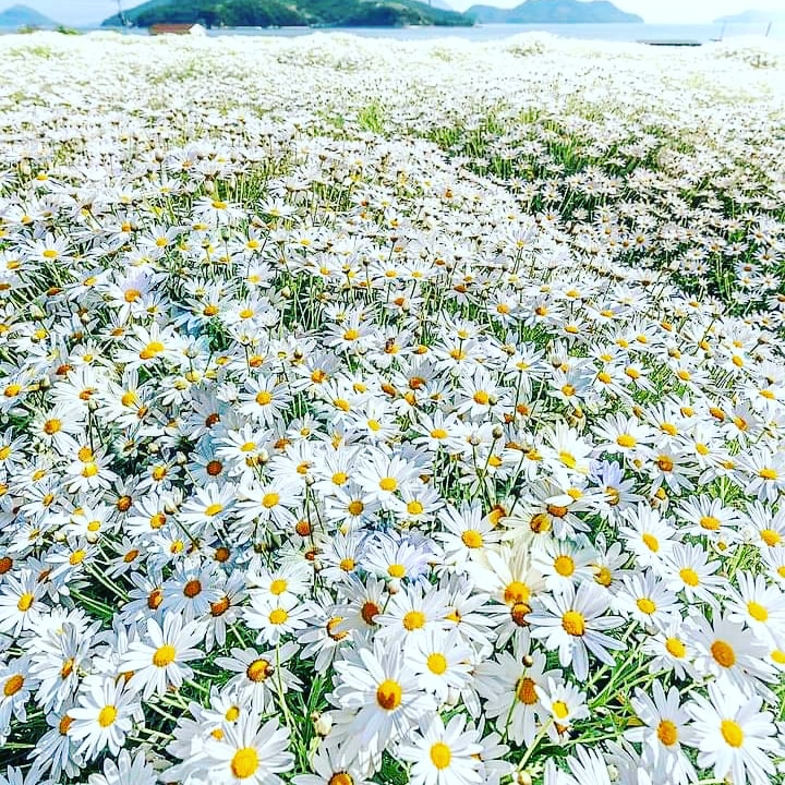 प्रकृति जस्तै सुन्दर बनाउनु आफ्नो मन,
मौसम जस्तै बद्लिने मनको कुनै भरोसा हुदैन।♥️