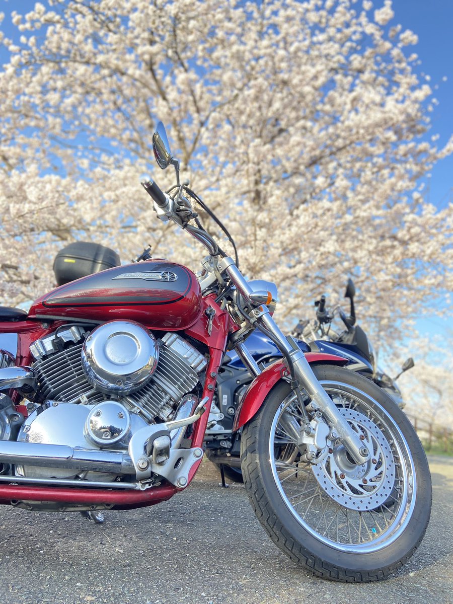 YAMAHA_KY's tweet photo. #バイク乗りとして軽く自己紹介

名前 : K
性別 : ♂
年齢 : 28
身長 : 178
住み : 福岡
車種 : DragStar400
好き : 景色の澄んでいる所
嫌い : 虫アタック
一言 : バイク歴3年目🏍こじれ歴6年目💔🤣

#バイク乗りとつながりたい
#バイク好きと繋がりたい
#バイクのある風景 https://t.co/4p4cvchZ8c