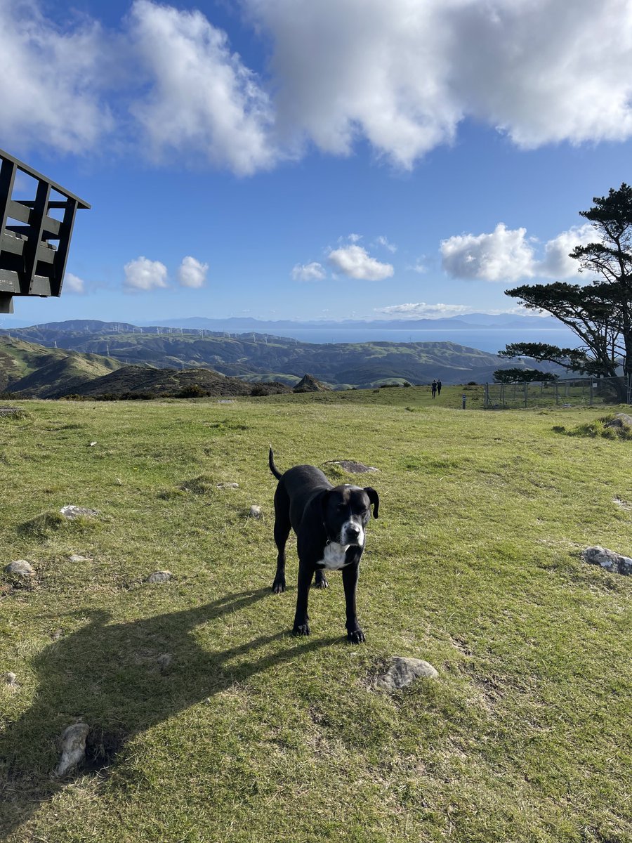 Jack Steer tweet media