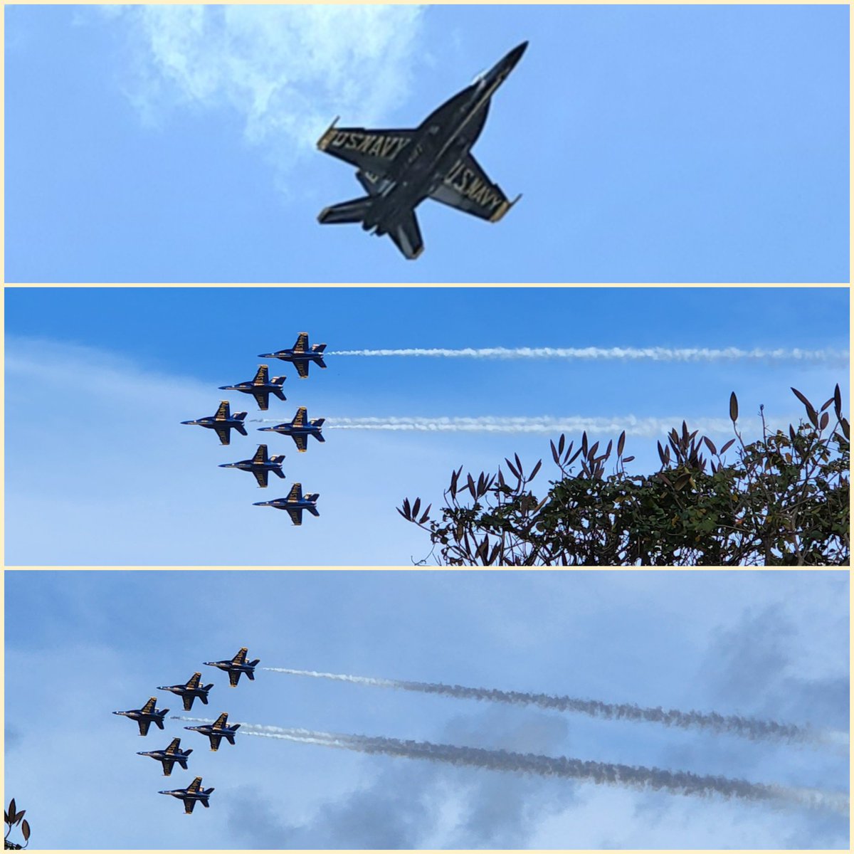 blade_sasha's tweet photo. Got to see and hear the Blue Angels practice outside my office. #AwesomeSauce @blueangels @MCB_Hawaii #KBay https://t.co/vjoCUjGZWj