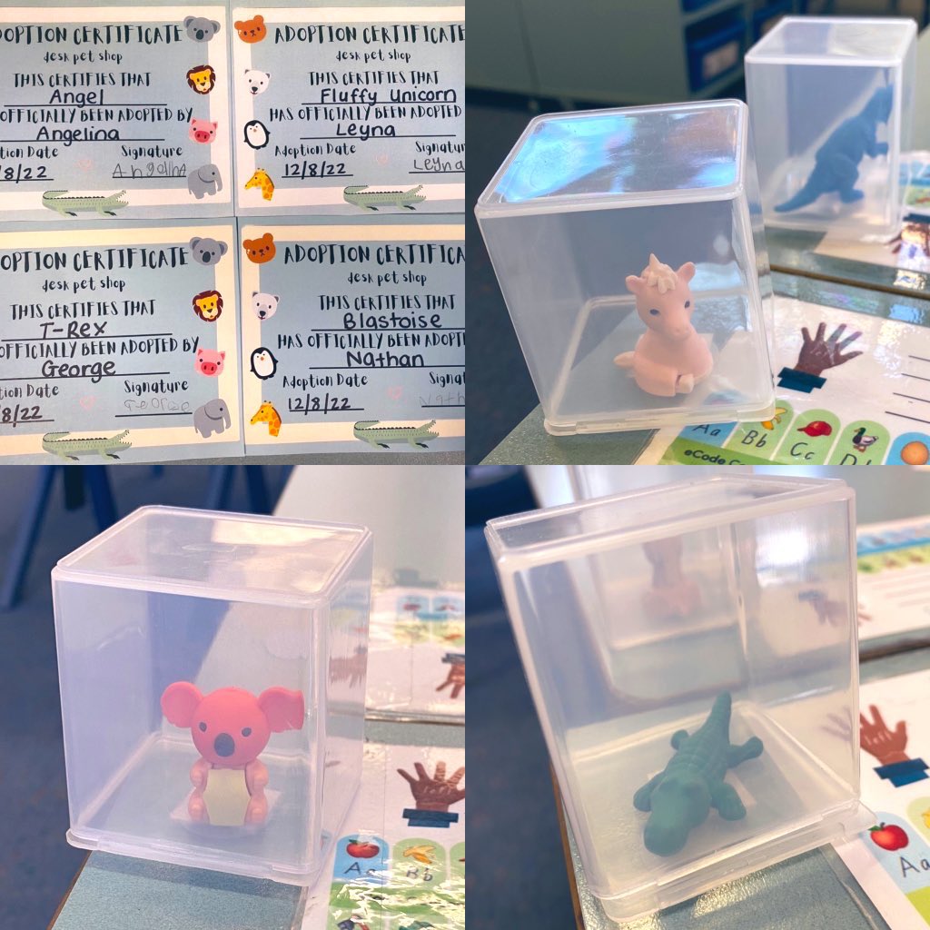 Today KZ adopted their very own Desk Pet! We wrote about how we can look after them. While we are learning, we keep them in their homes so they are safe! When we finish our work, we love to read, count and play with them. We can use dojo points at the desk pet shop🐨 <a href="/fairvaleps/">FairvalePS</a>