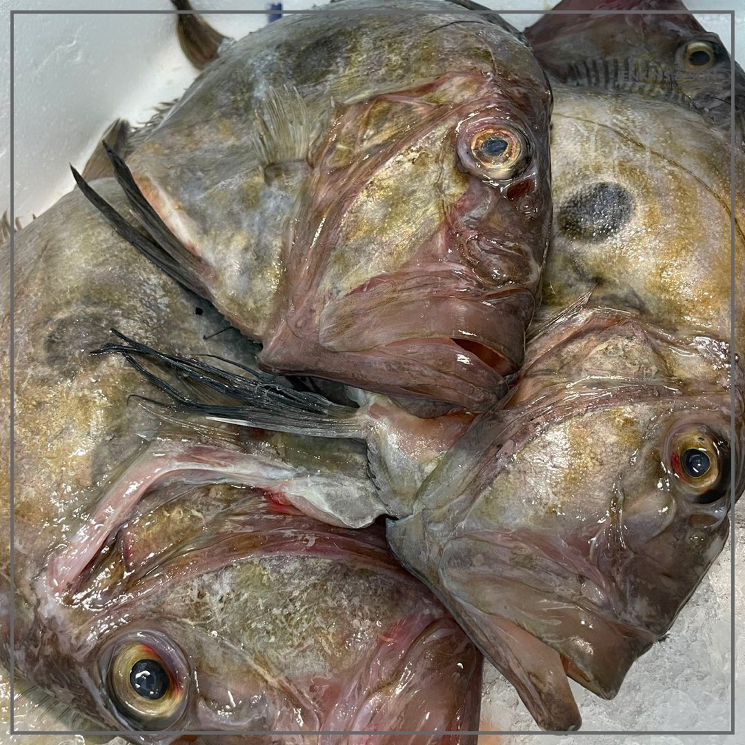 🐟 John Dory is absolutely delicious this time of year &amp; we have some fresh in stock but do you know how the it got it's rather unique name? 

When it first arrived in the UK from France, it was called 'jaune doré' meaning 'golden yellow'

#johndory #freshfish #dealkent