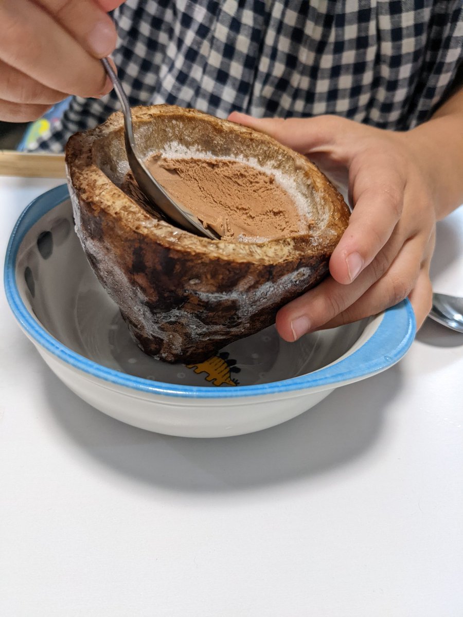 2017Rimi's tweet photo. スーパーにカカオの殻にアイスをつめたものが売ってた。これ食べながらチョコレートができるまでを知るのも良いかもと思い購入。カカオの実がどんなふうになっているか、チョコレートになる部分はどこかなどYou Tube見ながら美味しく食べた。 https://t.co/DEhLlDpMwA