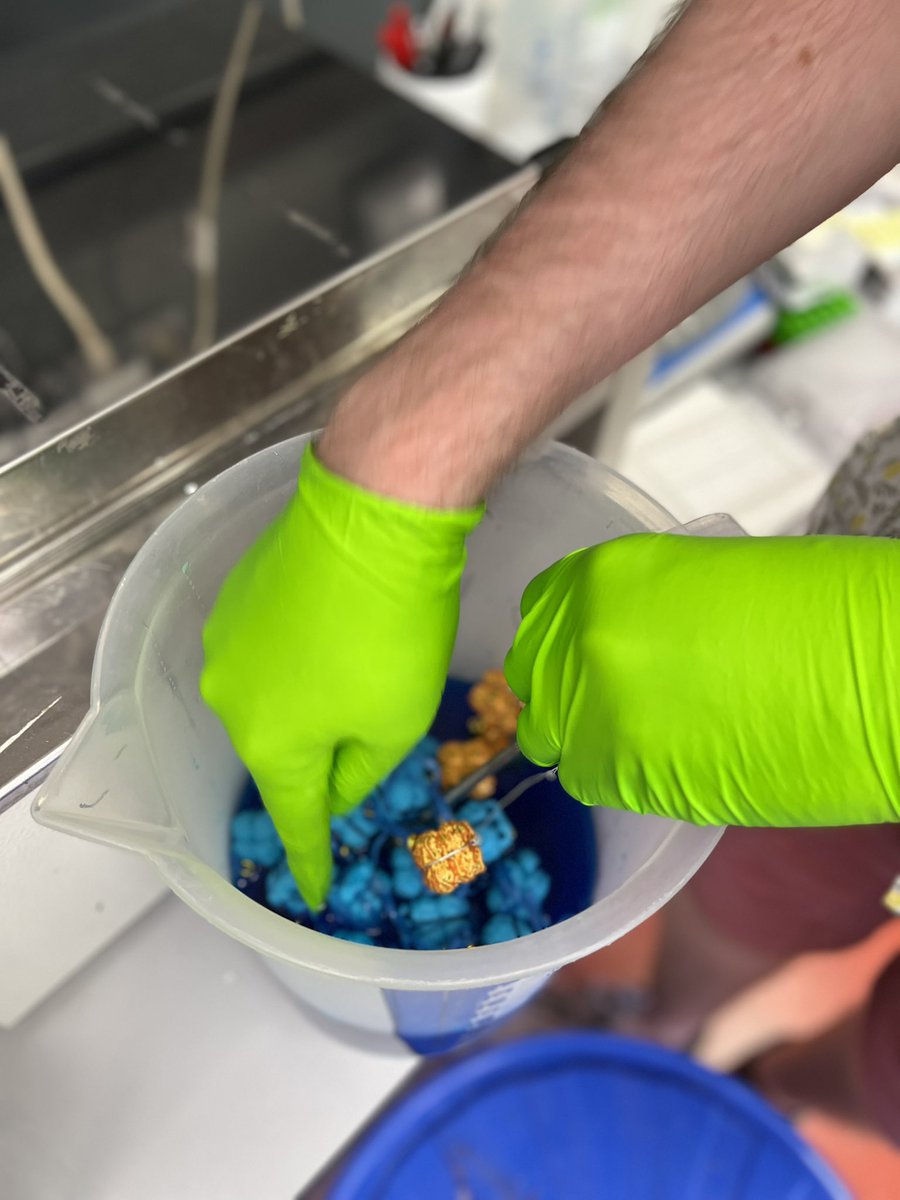 I ran a workshop to make some new versions of the “Cellular Reprogramming Necklace” with members of the lab. We discussed the process of cellular reprogramming and cell memory &amp; how the Oct-4 gene (one of the famous Yanamaka factors) is important. annadumitriu.co.uk/portfolio/the-… #bioart