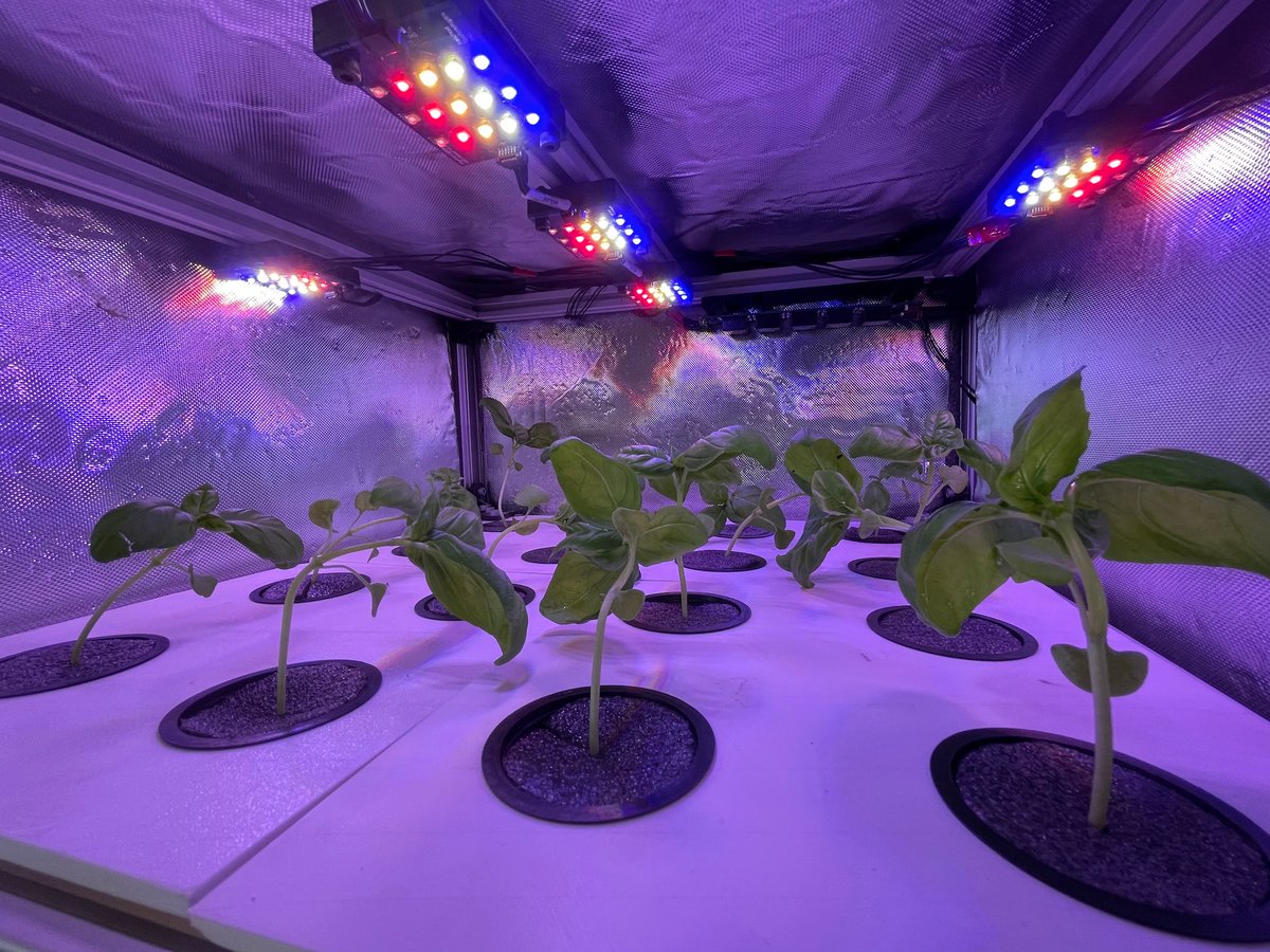 ProjectPeaPod's tweet image. PeaPod prototyping progress update:

- Custom wide-spectrum lighting system: online!
- Cloud connectivity, data logging, remote control and monitoring: active!
- Aeroponic watering system: operational!

See you on the moon 🚀🌱

#deepspacefoodchallenge #nasa #agtech #openag