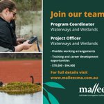 JOIN OUR TEAM!  🐟🌱💧

To express interest in either of these roles, simply send your resume to vacancies@malleecma.com.au 
 
Applications close 5.00pm Friday 19 August 2022. The position descriptions are available on the Mallee CMA website https://t.co/JYEzgSrc5w. 