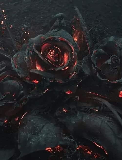 💜Matron of the Black Rose
🖤LeagueRP
💜Mature/Dark/Triggering Themes
🖤Friendly Writer, Mean Character
💜Open to Plot
🖤OC friendly