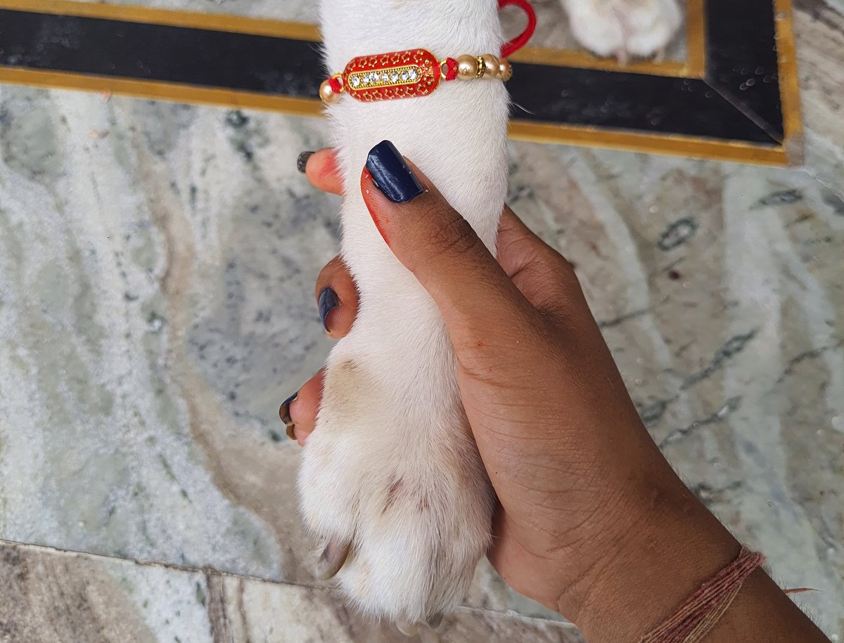 Happy Rakshabandhan to all!!
🕉️🏵️
#rakshabandhanspecial