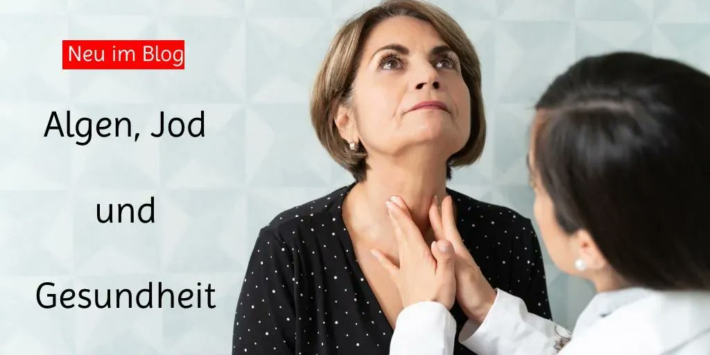 algenladen's tweet photo. Kennt ihr euren Tagesbedarf an Jod und wisst, wie ihr ihn decken könnt?
 
Und was müsst ihr beim Jodgehalt von Meeresalgen beachten? Erfahrt alles in unserem neusten Blog-Artikel (https://t.co/pJmJ5dmNZX)  
 
#seaweed #algen #algengenuss #freshfoods #healthymeal #veganlifestyle https://t.co/dNhPrqJJlU