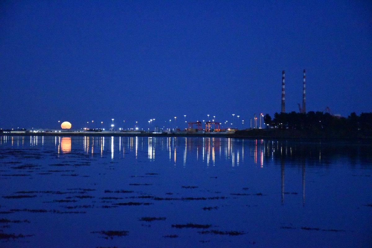 Harvest moon rising Dublin Bay 11/08/22. ⁦<a href="/DubCityCouncil/">Dublin City Council</a>⁩ ⁦<a href="/ArchiveDublin/">Dublin Archive</a>⁩ ⁦<a href="/loveclontarf_ie/">LoveClontarf.ie</a>⁩ #harvestmoon