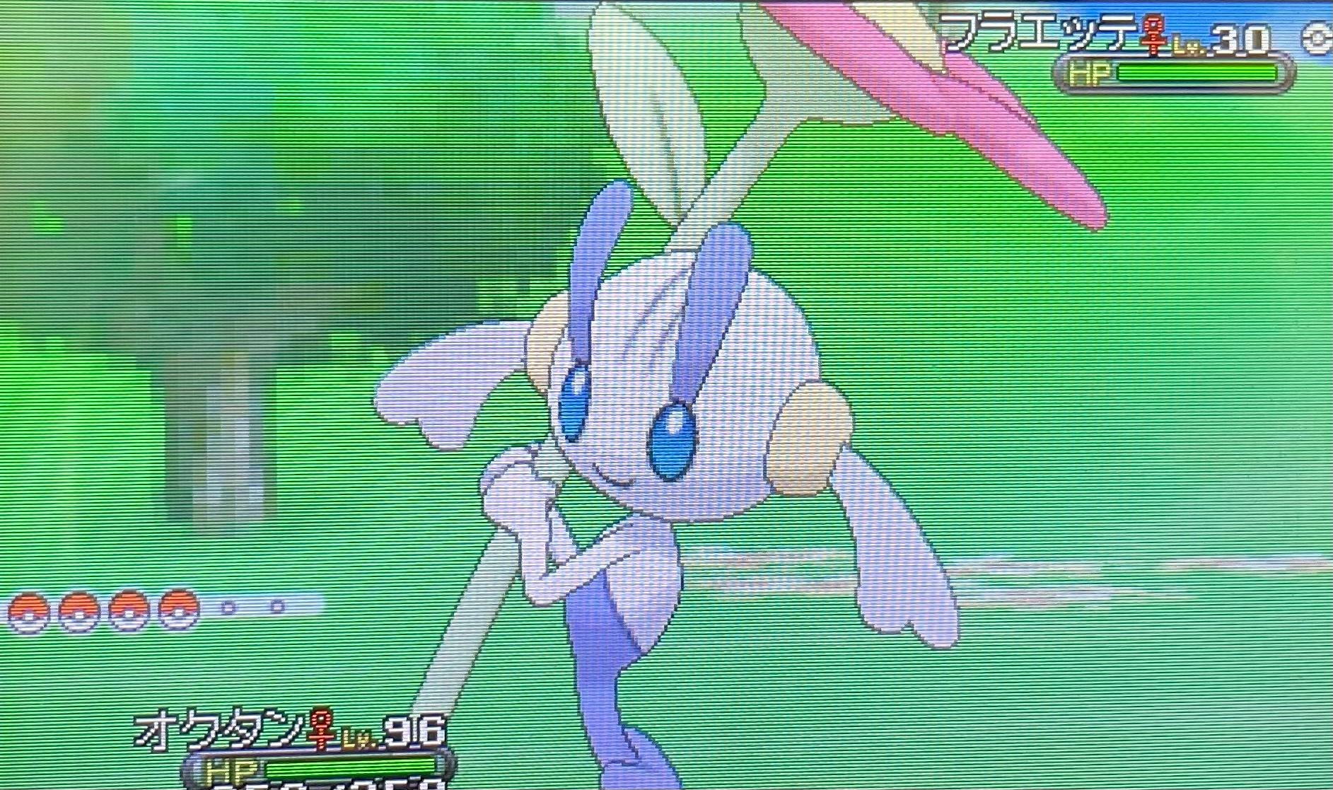 ポケモンxy Twitter 搜尋 Twitter