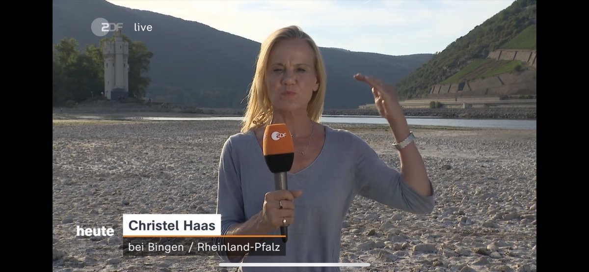 micha_bloss's tweet image. „Normalerweise würde mir das Wasser hier im Rhein jetzt bis zum Kopf oder höher stehen.“ 😱

zdf.de/nachrichten/pa…