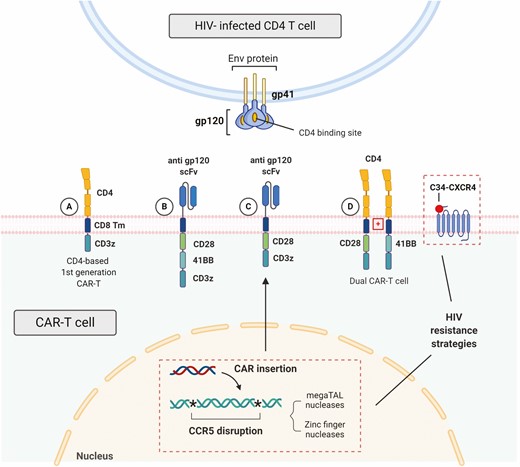 CAR-T technology has great potential for broad clinical use beyond #cancer, especially for infectious &amp; #immune-mediated diseases

Here, <a href="/akarinahajdu/">Karina Hajdu</a> <a href="/martinbonamino/">Martin Bonamino</a> et al. look at prospects for application in #HIV, #autoimmunity &amp; #fibrosis 👉bit.ly/3LNFeip