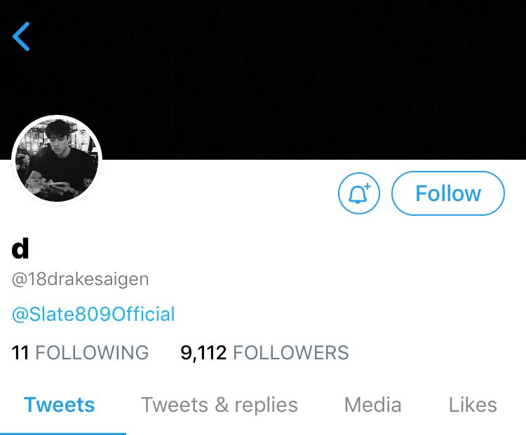 vastralustwp's tweet photo. made something… 👀 what slate 809’s twitter accounts look like 🌜🚦♟ 

a thread — [1/2] https://t.co/lzR4ZSX5DZ