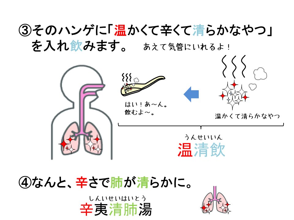 yakuzemitohan's tweet photo. 【ズル本Z P259】　
カンゾウ・マオウ・ダイオウ含まない漢方
の覚え方【01】

#登録販売者試験　
#特に半夏厚朴湯と辛夷清肺湯はマストだよ
#よかったらリツイートとて皆に教えてあげてね　
#全員合格 https://t.co/Ef3v6iGmu1