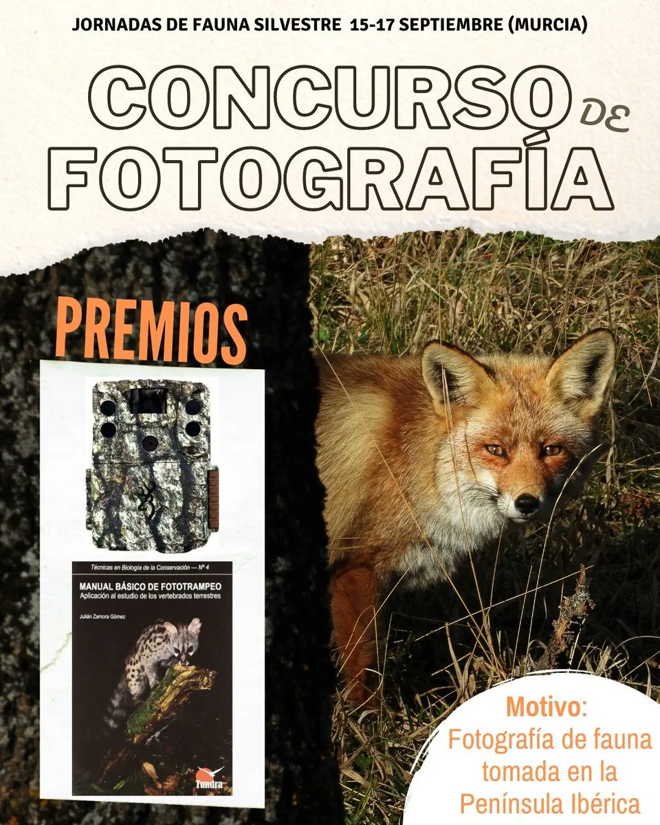 JFSMurcia's tweet photo. 📣CONCURSO DE FOTOGRAFÍA📣
En las #JFSMurcia22 también tendremos concurso de fotografía de fauna.

🏆PREMIOS🏆

Cámara de forotrampeo "Browning Command OPS Elite" y el "Manual básico de fototrampeo. Aplicación al estudio de vertebrados terrestres" de @TundraEdiciones https://t.co/3Mj69NyO4J