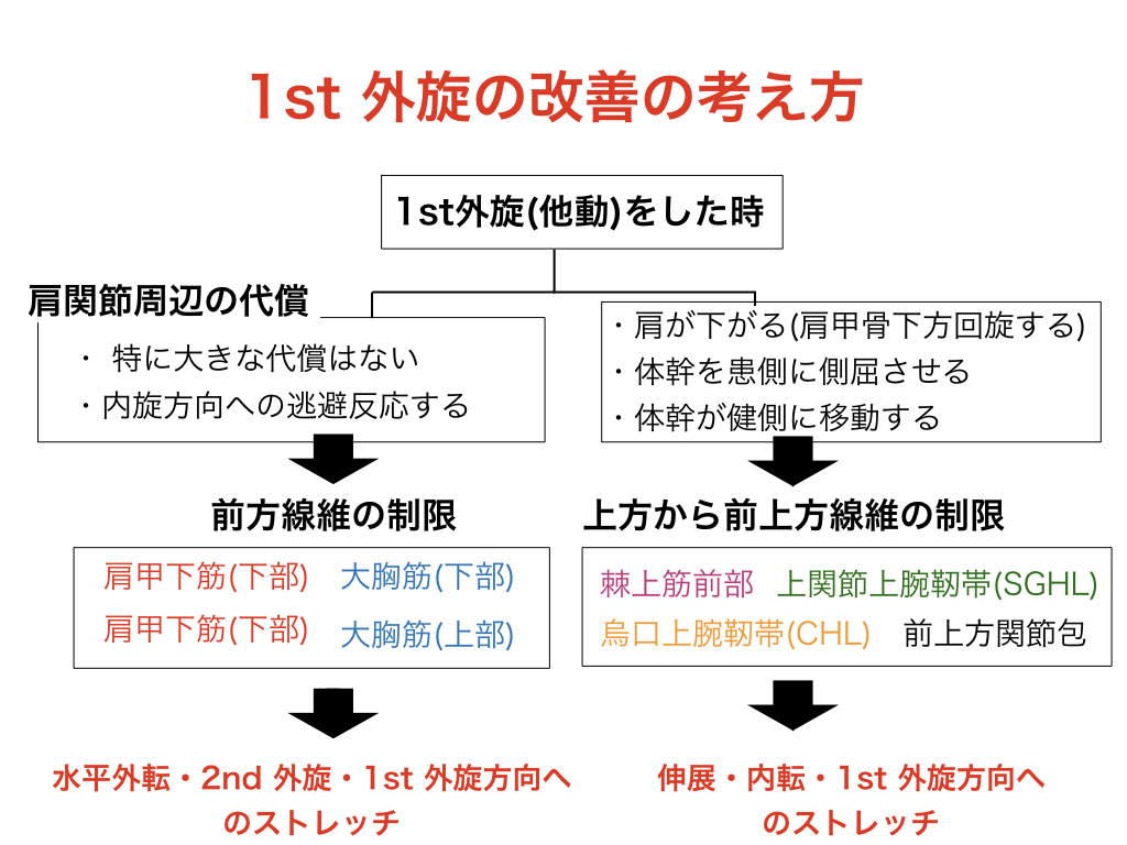 代償運動から考える1st外旋制限】 こんな感じで制限因子を考えてリハビリをするようにしています。しっかり、介入中の反応を見ることが大事です。  外旋制限の取り方は初めはとても苦労しました。皆様の参考になればと思います。
