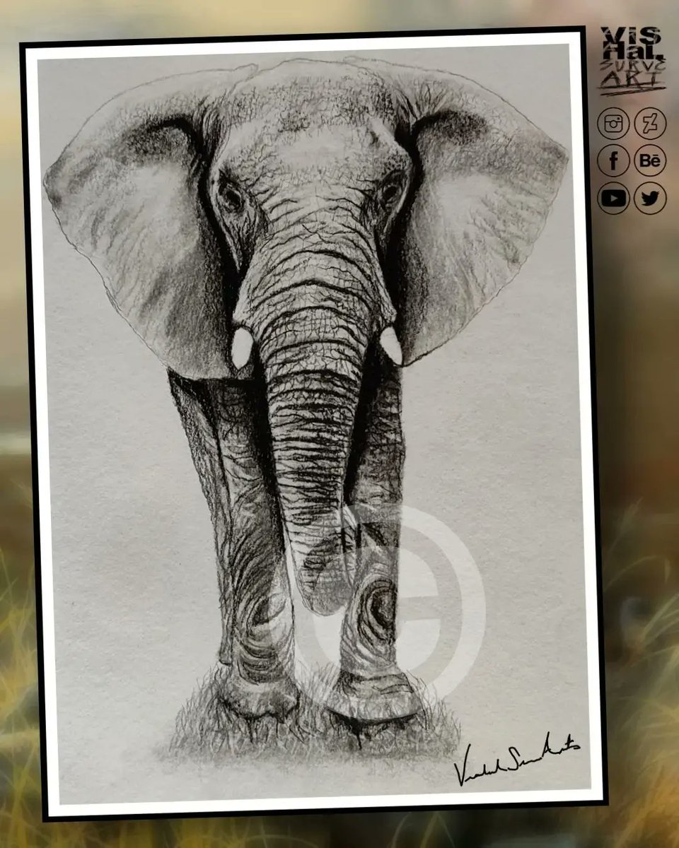 #elephantday
Spread awareness for these beautiful animals...
#art #artwork #graphite #pencilart #elephants  #dogsoftwitter #Africa #sketch #draw #drawingoftheday #ArtofLegends #drawingart #drawing  #ArtistOnTwitter #artshare