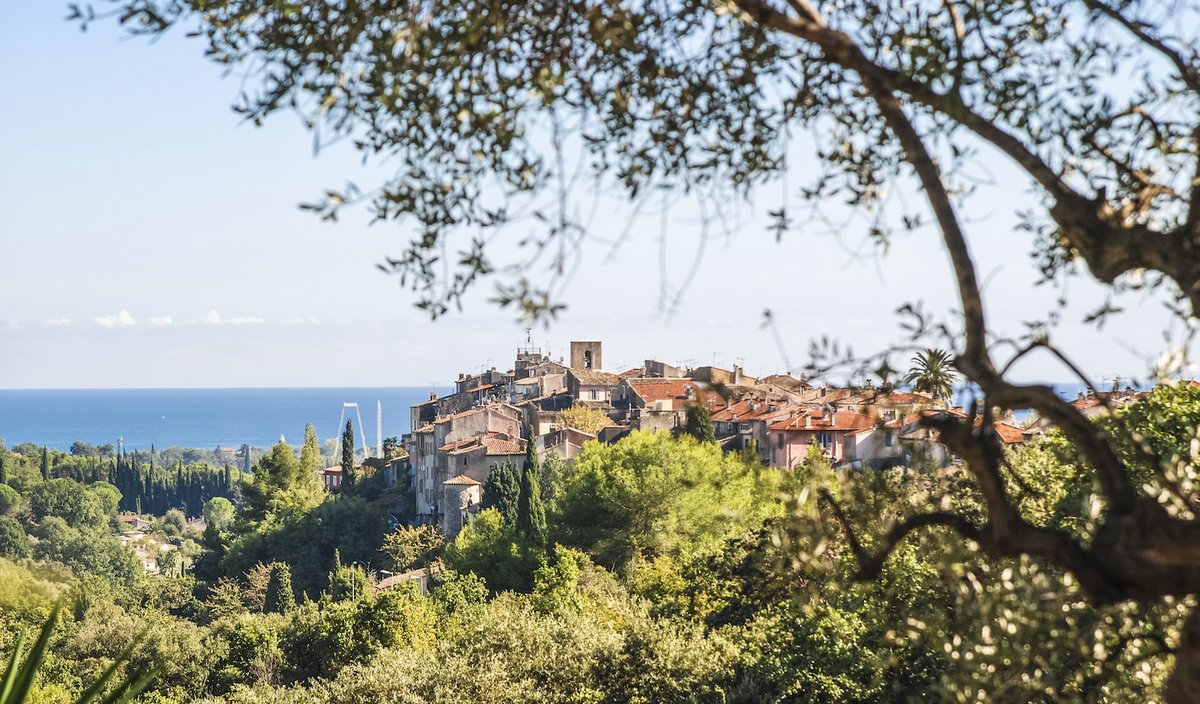 frankrijk.nl tweet media