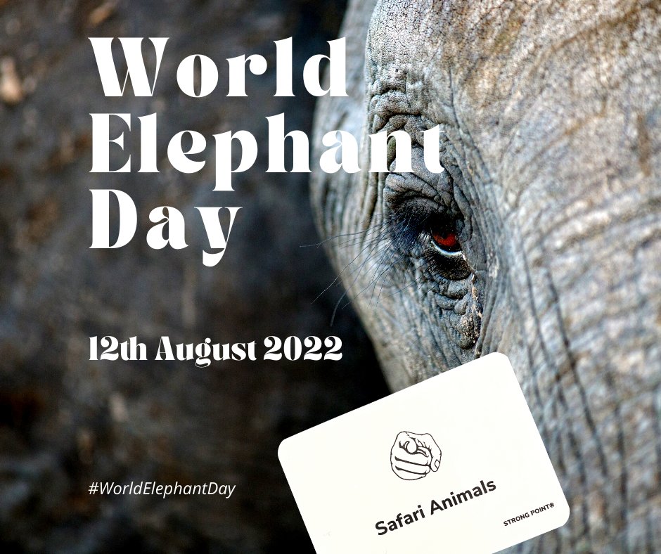 @wrldelephatday #worldelephantday #protecttheanimals
#savetheelephants #preserveandprotect