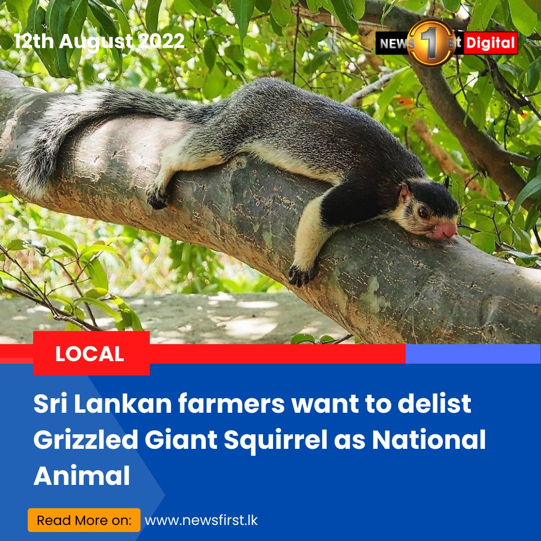 Sri Lanka on Twitter: Sri Lanka on Twitter: