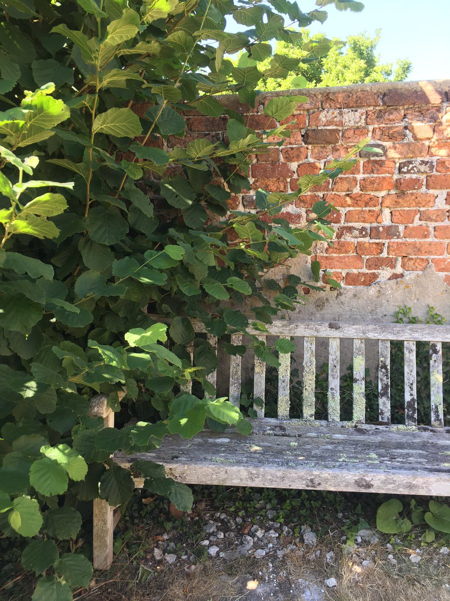 Esther_Gill's tweet photo. On hot days, retreat inside your local stone church. Calm &amp; cool yesterday inside the beautiful 13th century Warminghurst Church for a meeting with @TheCCT about the ‘redundant’ Sussex Churches, which includes my local: St Peter’s, Preston Park (also cool inside!). https://t.co/XO1M3EWubW